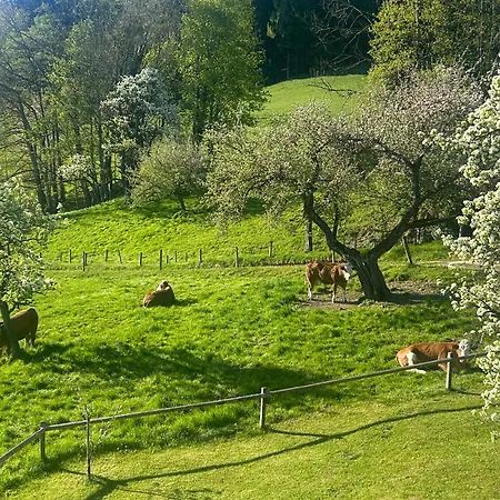 Lägenhet Traumpanorama Im Chiemgau Zwischen Chiemsee Und Salzburg - 74 Qm Surberg