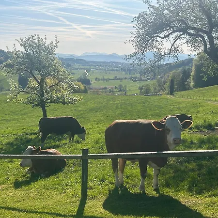 Traumpanorama Im Chiemgau Zwischen Chiemsee Und Salzburg - 74 Qm Lägenhet Surberg