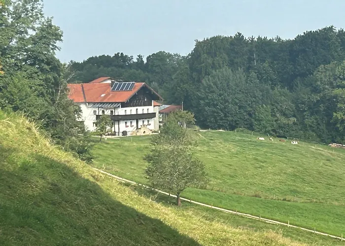 Apartment Traumpanorama Zwischen Chiemsee Und Salzburg - 74 Qm *